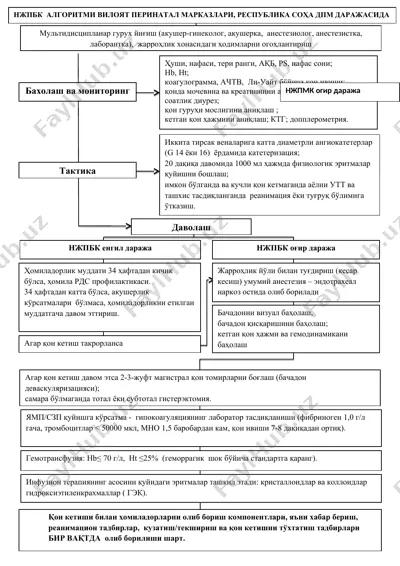 нжпбк  алгоритми вилоят перинатал марказлари, республика соҳа дпм даражасида — DOC