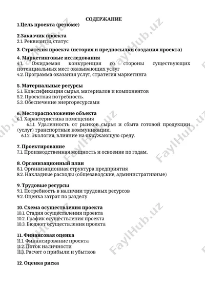 бизнес план "сервисное обслуживание жителей и гостей" — DOC