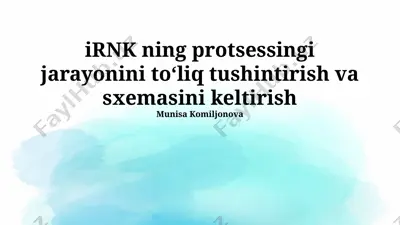 irnk ning protsessingi jarayonini toʻliq tushintirish va sxemasini keltirish — PPTX