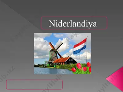 niderlandiya — PPTX