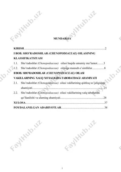 sho'radoshlar (chenopodiaceae) oilasi haqida — DOCX