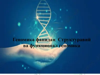 геномик фанидан структуравий ва функционал геномика — PPTX