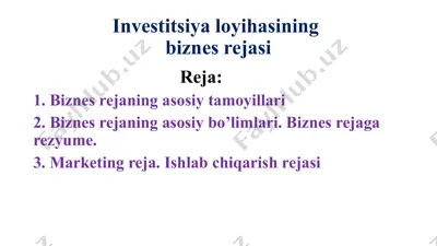 investitsiya loyihasining biznes rejasi — PPTX