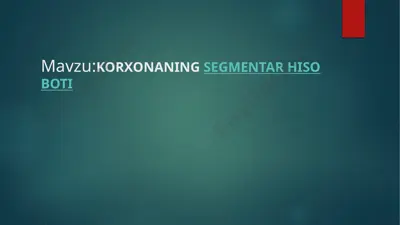 korxonaning segmentar hisoboti — PPTX