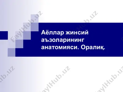 aёlлар жинсий аъзоларининг анатомияси — PPT