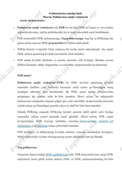 polimeraza zanjir reaksiyasi (pzr) — DOC