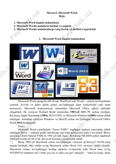 microsoft word — DOC