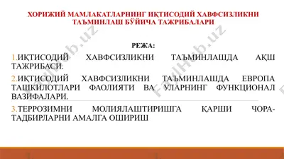 хорижий мамлакатларнинг иқтисодий хавфсизликни таъминлаш бўйича тажрибалари — PPT
