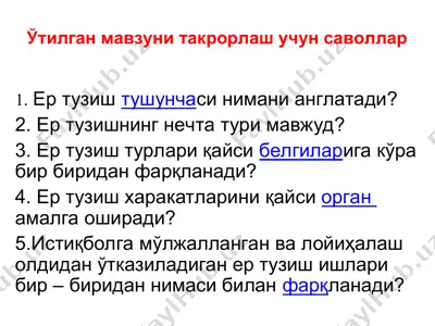 er tuzishning huquqiy asoslari — PPT