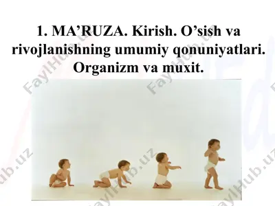 yosh fiziologiyasi va gigienasi — PPTX