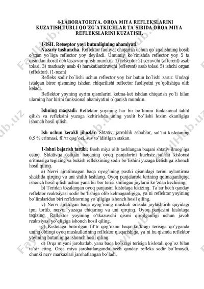 laboratoriya. orqa miya reflekslarini kuzatish — PDF