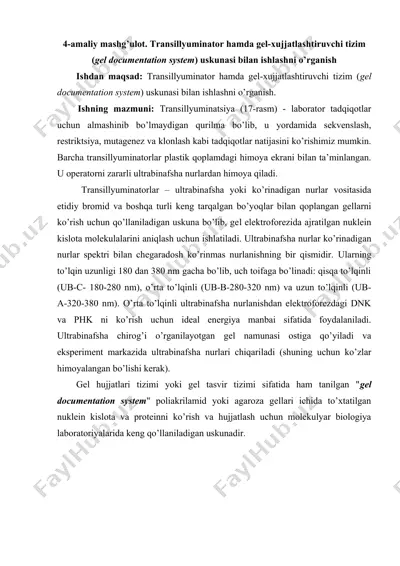 transillyuminator hamda gel-xujjatlashtiruvchi tizim (gel documentation system) — DOCX