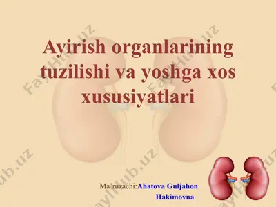 ayirish organlarining tuzilishi va yoshga xos xususiyatlari — PPTX