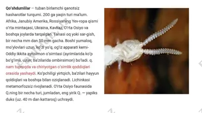 qo‘shdumlilar — PPTX