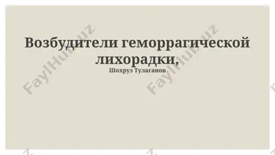vozbuditeli gemorragicheskoy lixoradki — PPTX