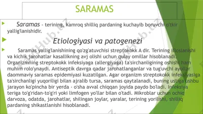 saramas — PPTX