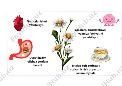 qon aylanishni yaxshilaydigan oziq-ovqat — PDF