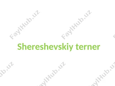 shereshevskiy terner — PPTX