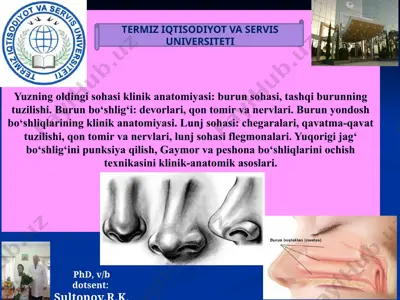 burun sohasi topografiyasi — PPTX