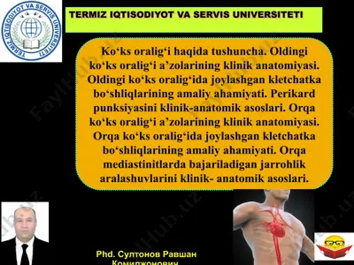 ko‘ks oralig‘i haqida tushuncha — PPTX