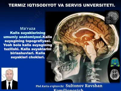 kalla suyaklarining umumiy anatomiyasi — PPTX