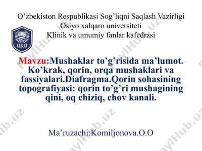 mushaklar to'g'risida ma'lumot — PPTX
