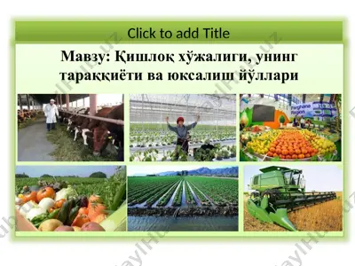 қишлоқ хўжалиги, унинг тараққиёти ва юксалиш йўллари — PPTX
