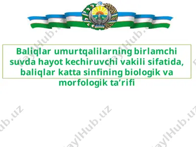 baliqlar — PPTX