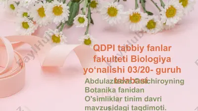 o'simliklar dunyosi va xilligiyoti — PPTX