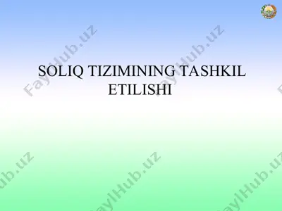 soliqizimining tashkil etilishi — PPT