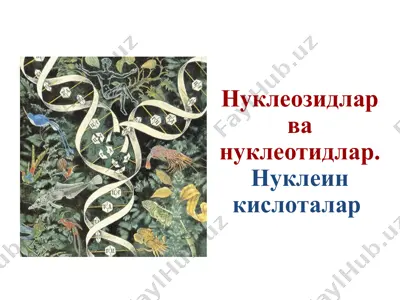nukleozidlar va nukleotidlar — PPTX