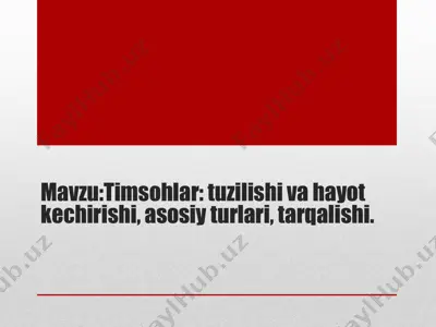 timsohlar — PPTX