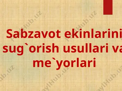 sabzavot ekinlarini sug`orish usullari va me`yorlari — PPT