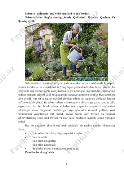 pomidorlar — DOCX