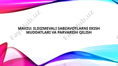 ildizmevali sabzavotlar — PPTX