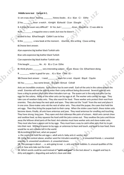 middle term test variant n 1 — DOC