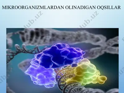 mikroorganizmlardan olinadigan oqsillar — PPTX