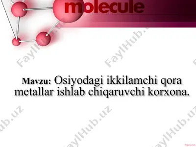 osiyodagi ikkilamchi qora metallar ishlab chiqaruvchi korxona — PPTX