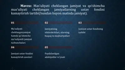 mas’uliyat cheklangan jamiyatlar — PPTX