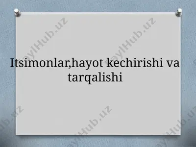 itsimonlar, hayot kechirish va tarqalishi — PPTX