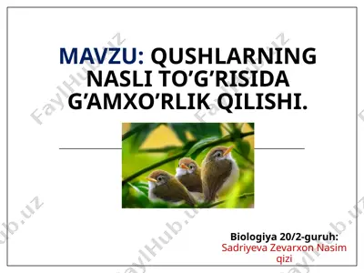 qushlar mavzusida amxo'rlik qilishi — PPTX