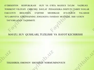 suv qushlari — PPTX
