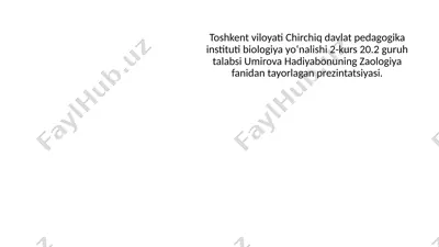 toshbaqalar (testudines) — PPTX
