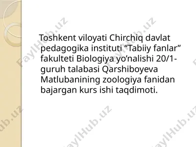 kemiruvchilar turkumi — PPTX
