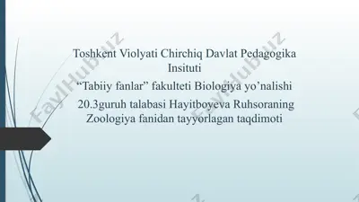 ilonlar (ophidia yoki serpentes) — PPTX