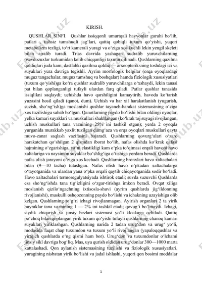 qushlar — DOCX