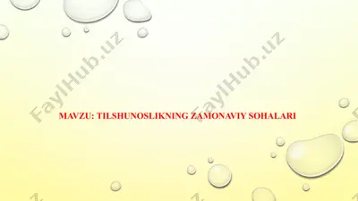 tilshunoslikning zamonaviy sohalari — PPTX