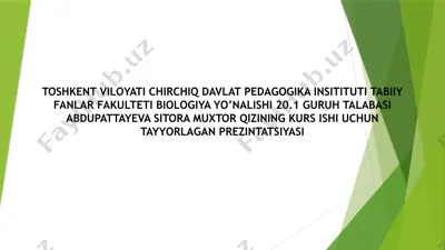 akulalar xilma-xilligi va ahamiyati prezintatsiyasi — PPTX