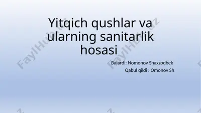 yirtqich qushlar va ularning sanitarlik hosasi — PPTX