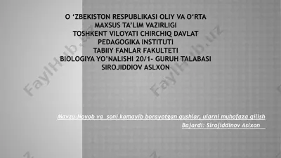 noyob vasonikamayib bora yotgan qushlar haqida — PPTX
